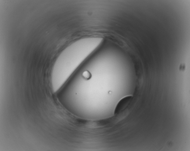 X0000114670704200910211009
