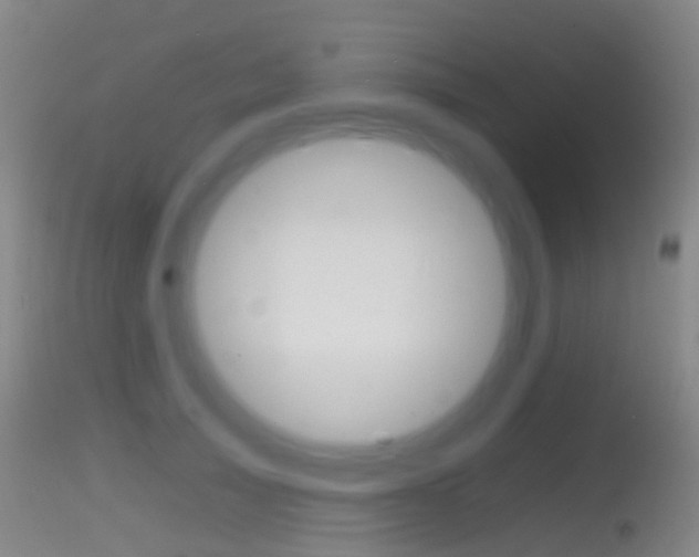 X0000114670705200910211009