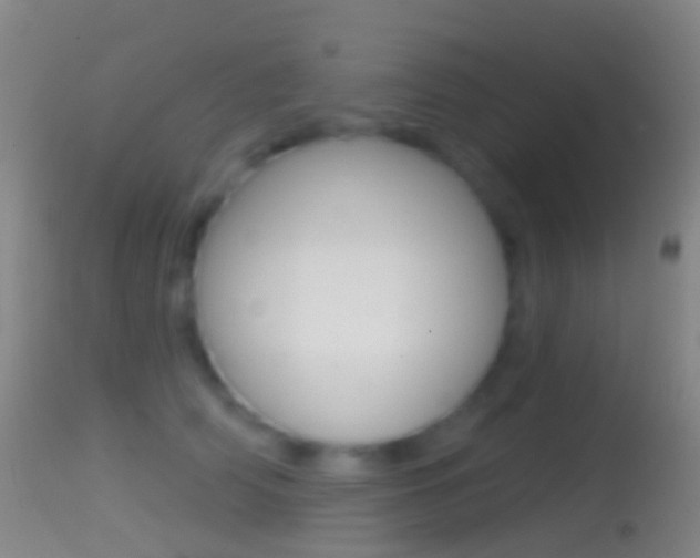 X0000114670706200910211009