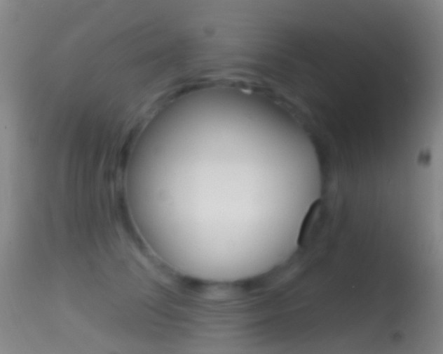 X0000114670708200910211009