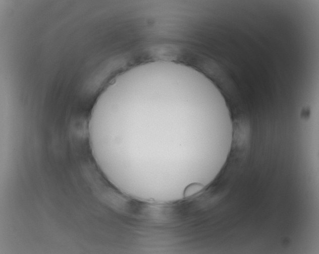 X0000114670713200910211009