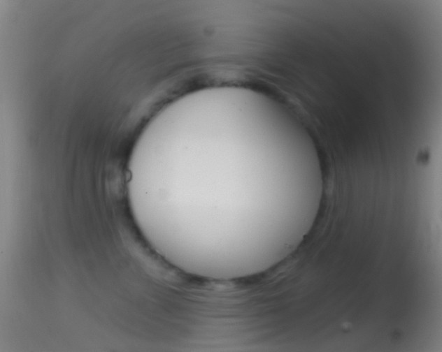 X0000114670715200910211009