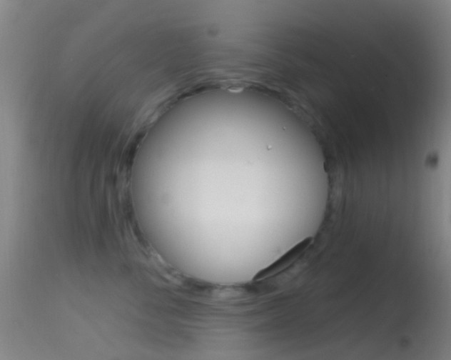 X0000114670716200910211009