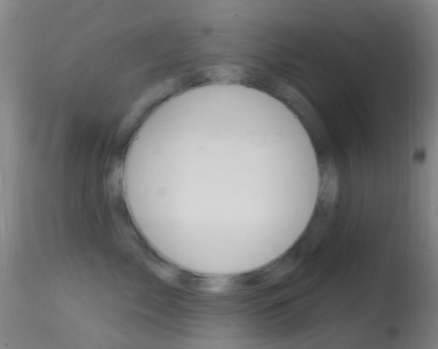 X0000114670717200910211008