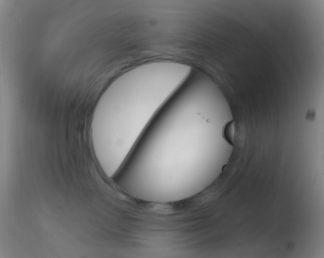 X0000114670719200910211008