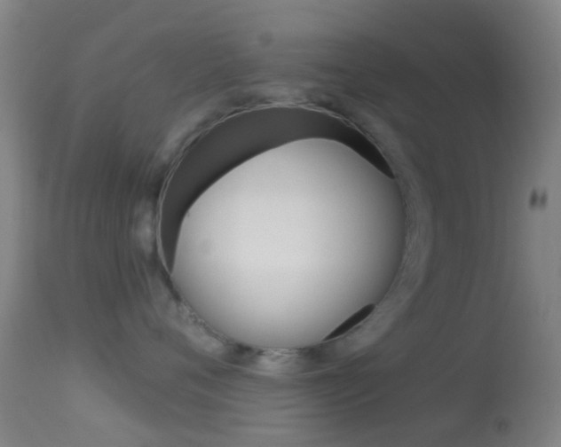 X0000114670720200910211008