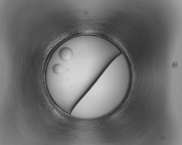 X0000114670721200910211008