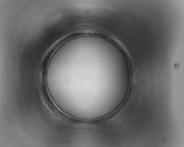 X0000114670722200910211008