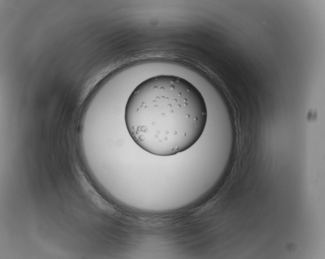 X0000114670725200910211008