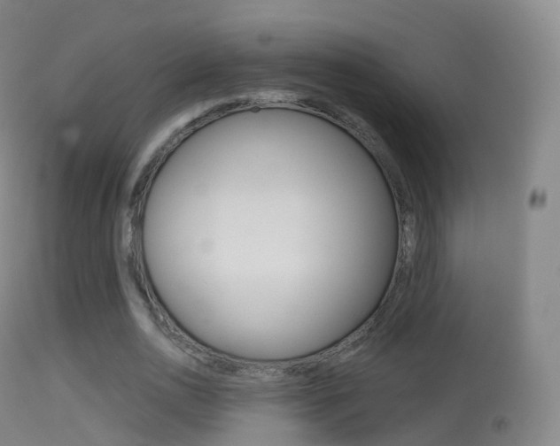 X0000114670726200910211008