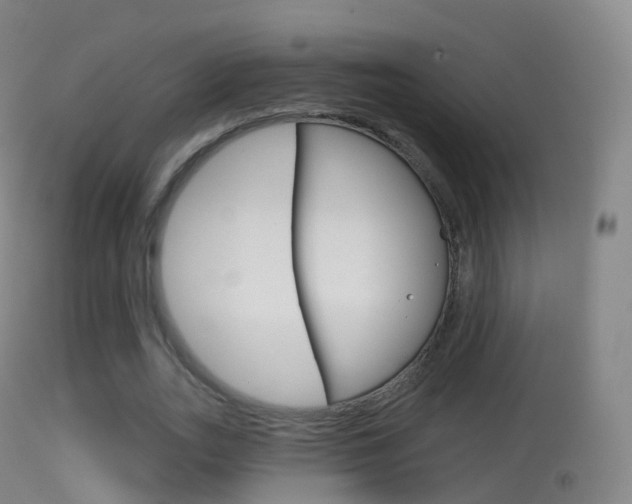 X0000114670727200910211008