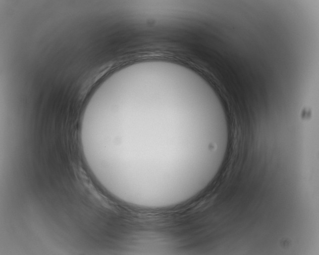 X0000114670729200910211008