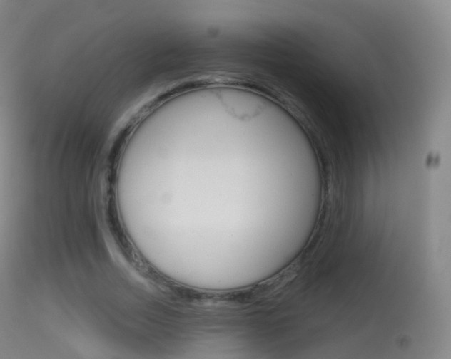 X0000114670730200910211008