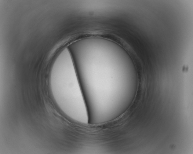X0000114670731200910211008
