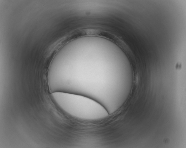 X0000114670733200910211008