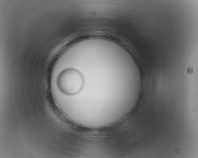 X0000114670734200910211008