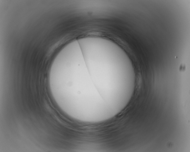 X0000114670735200910211008