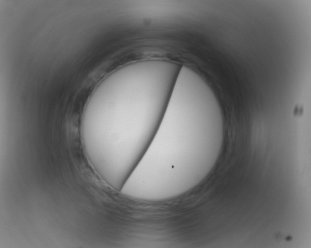X0000114670737200910211008