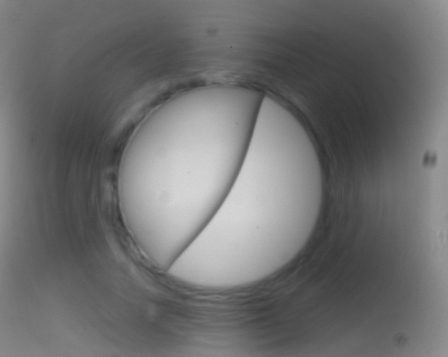 X0000114670738200910211008