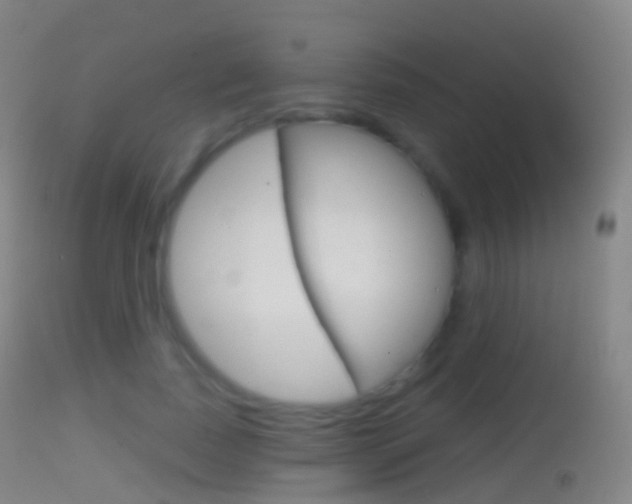 X0000114670739200910211008