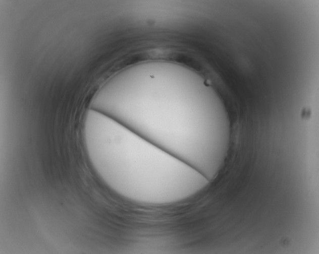 X0000114670741200910211008