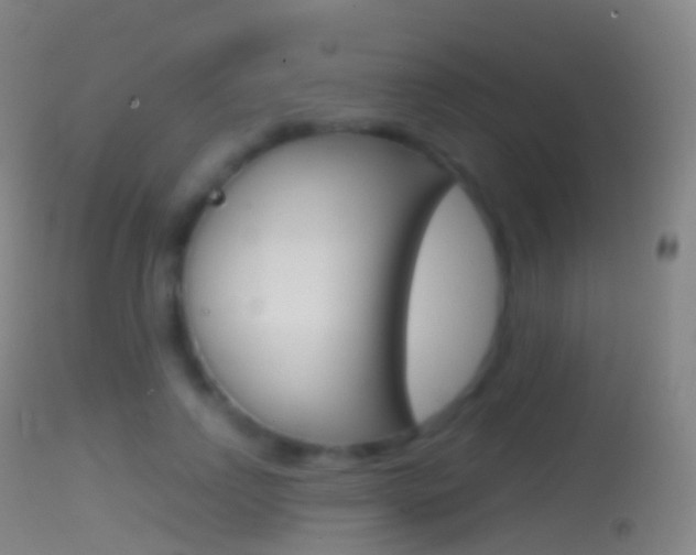X0000114670742200910211008
