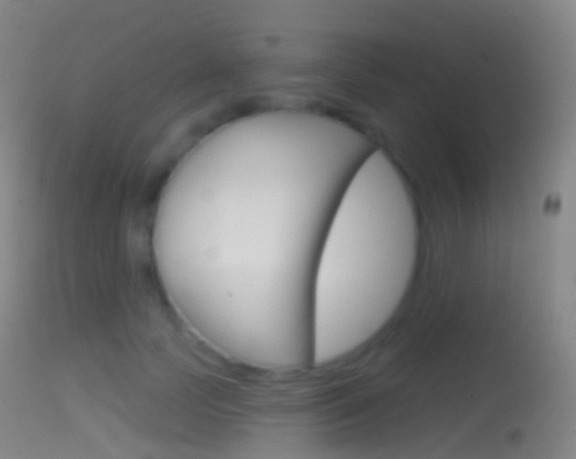 X0000114670745200910211008
