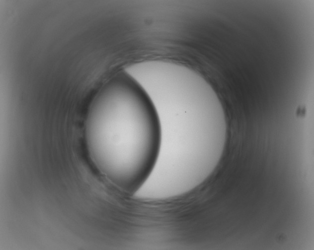 X0000114670750200910211008