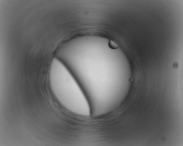 X0000114670751200910211008