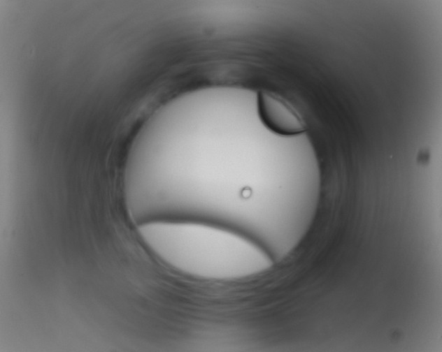 X0000114670755200910211008