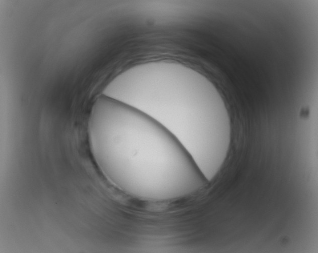 X0000114670757200910211008