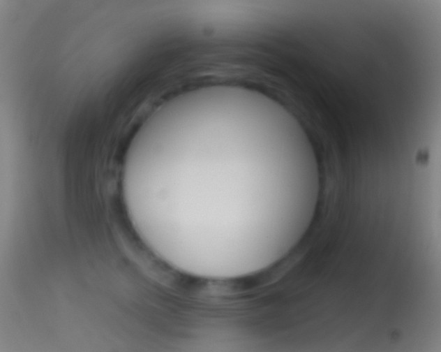 X0000114670758200910211008