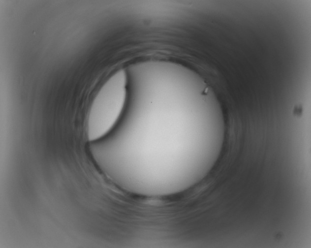 X0000114670759200910211008