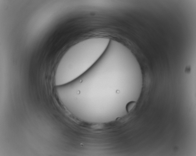 X0000114670761200910211008