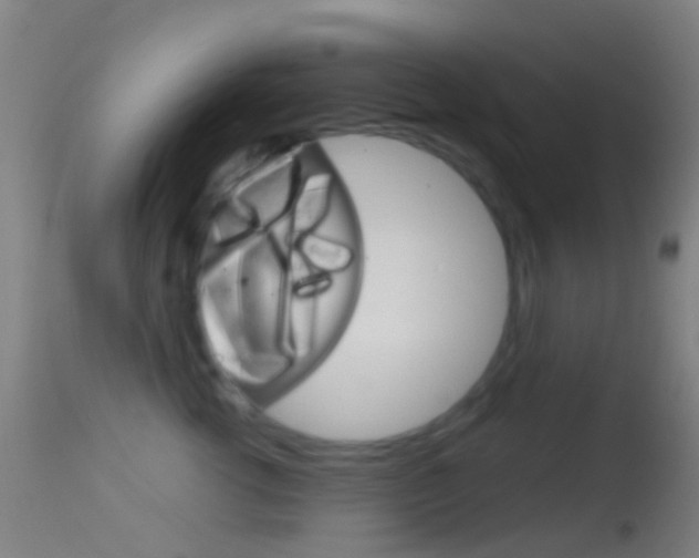 X0000114670762200910211008