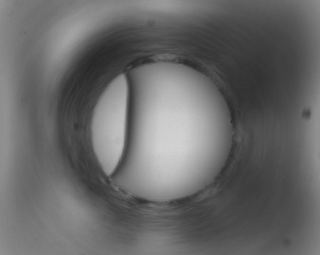 X0000114670763200910211008