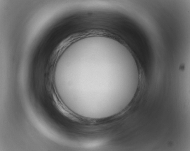 X0000114670765200910211008