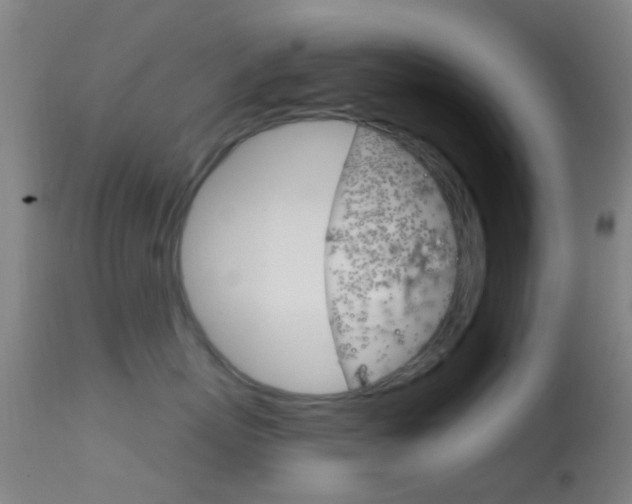X0000114670767200910211008