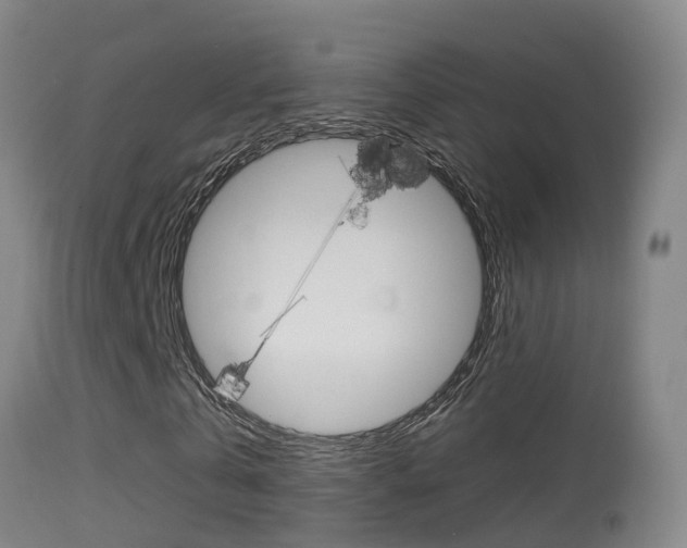 X0000114670769200910211008