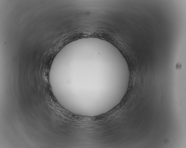 X0000114670770200910211008
