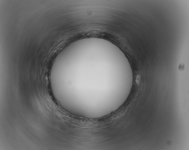 X0000114670771200910211008
