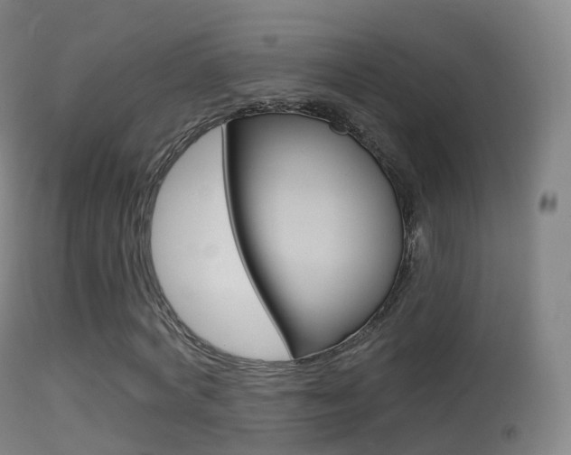 X0000114670772200910211008