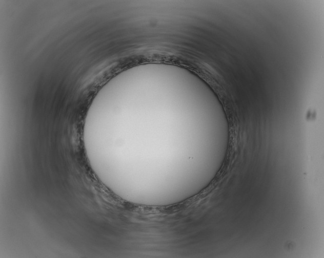 X0000114670774200910211008