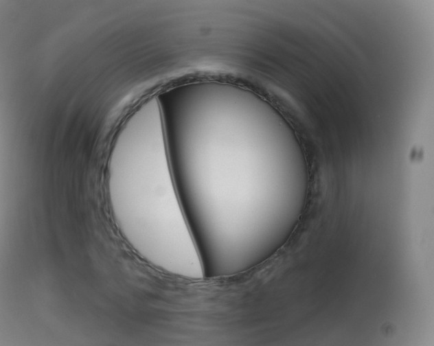 X0000114670776200910211008
