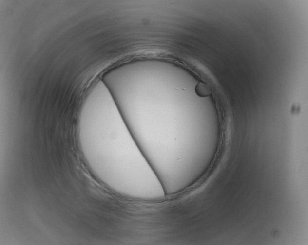 X0000114670777200910211008