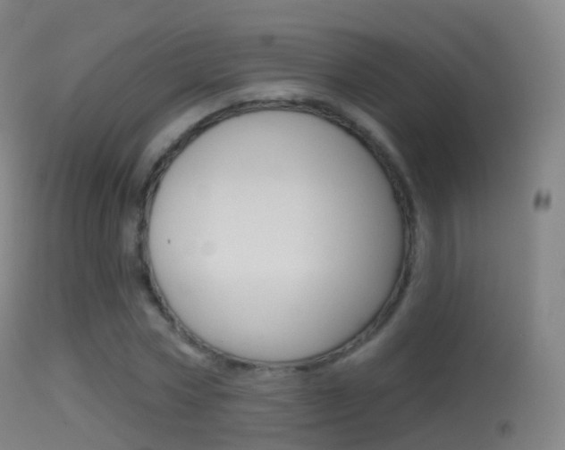 X0000114670778200910211008