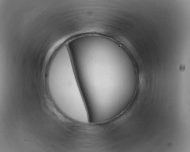 X0000114670780200910211008