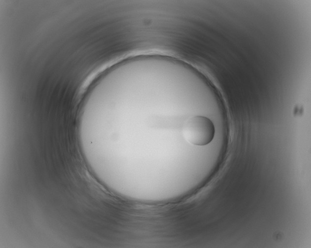 X0000114670781200910211008