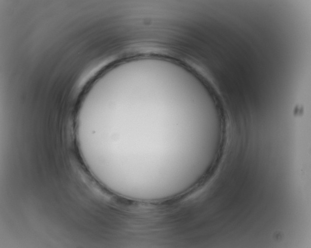 X0000114670782200910211008