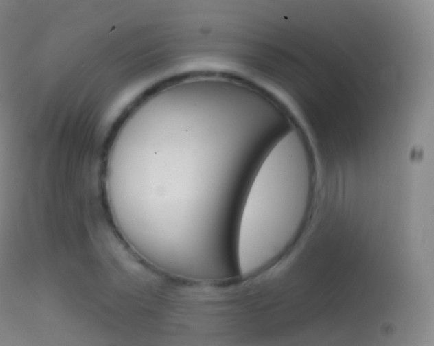 X0000114670783200910211008